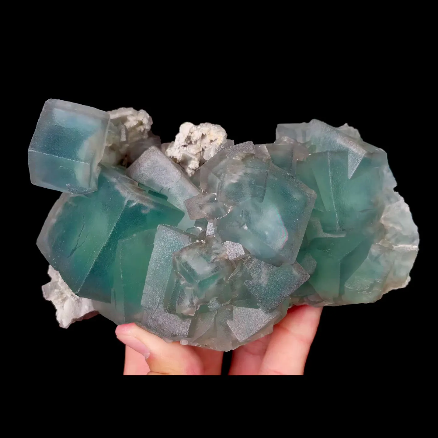 specimen video