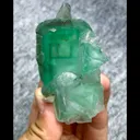 specimen video