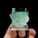 specimen video