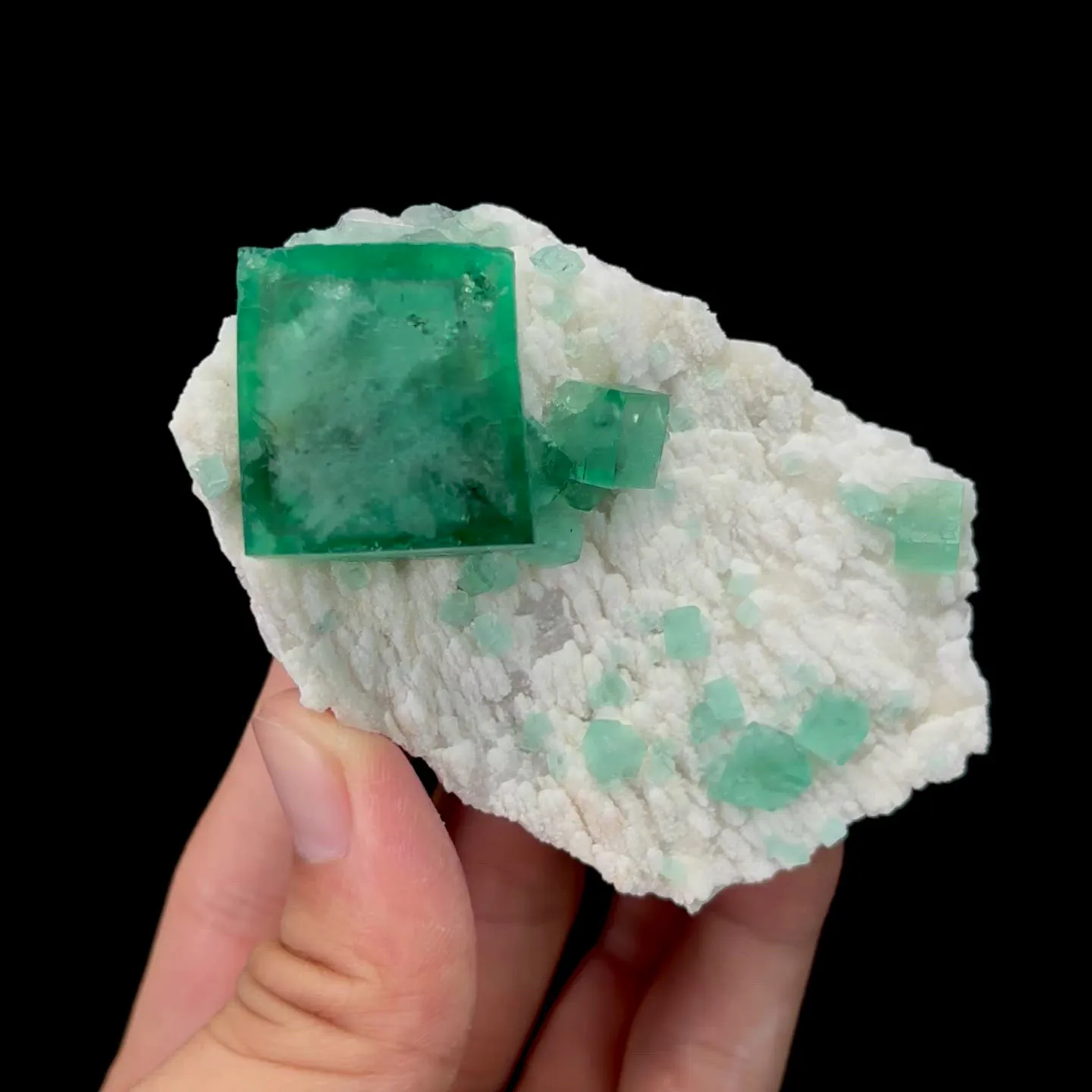 specimen video