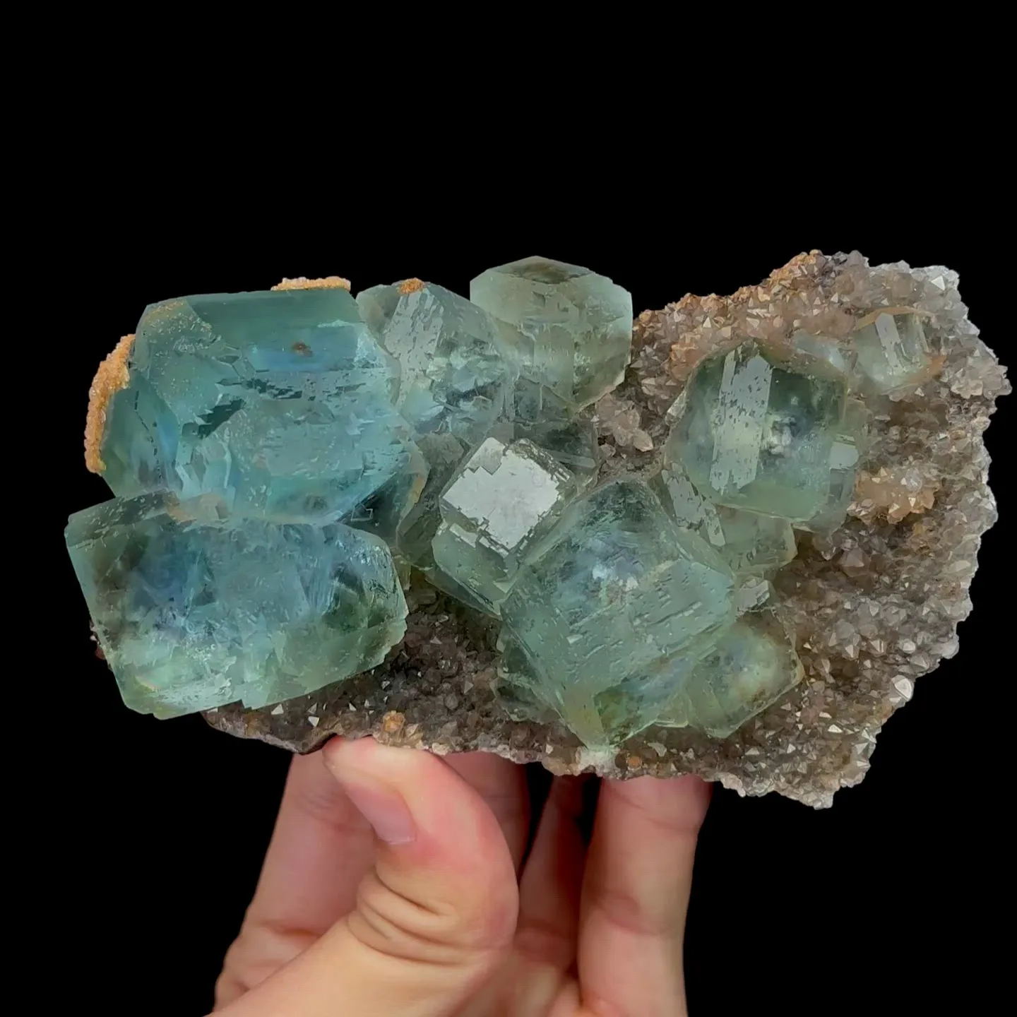 specimen video