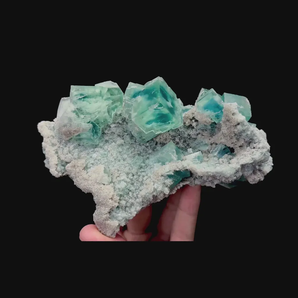 specimen video