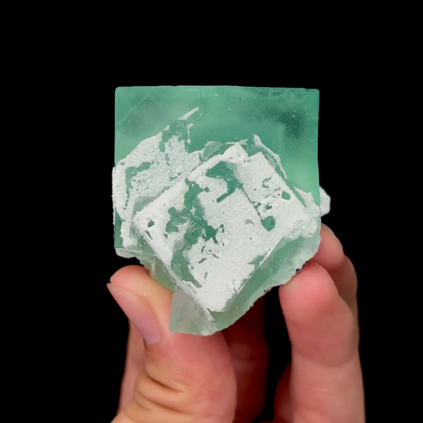 specimen video