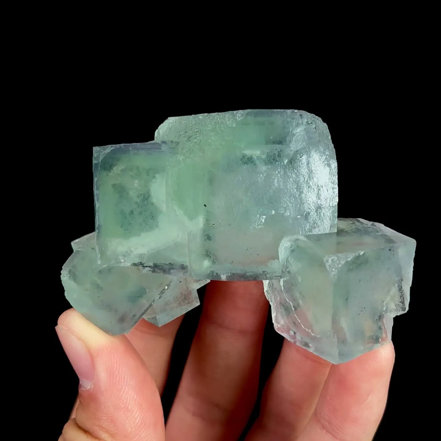 specimen video