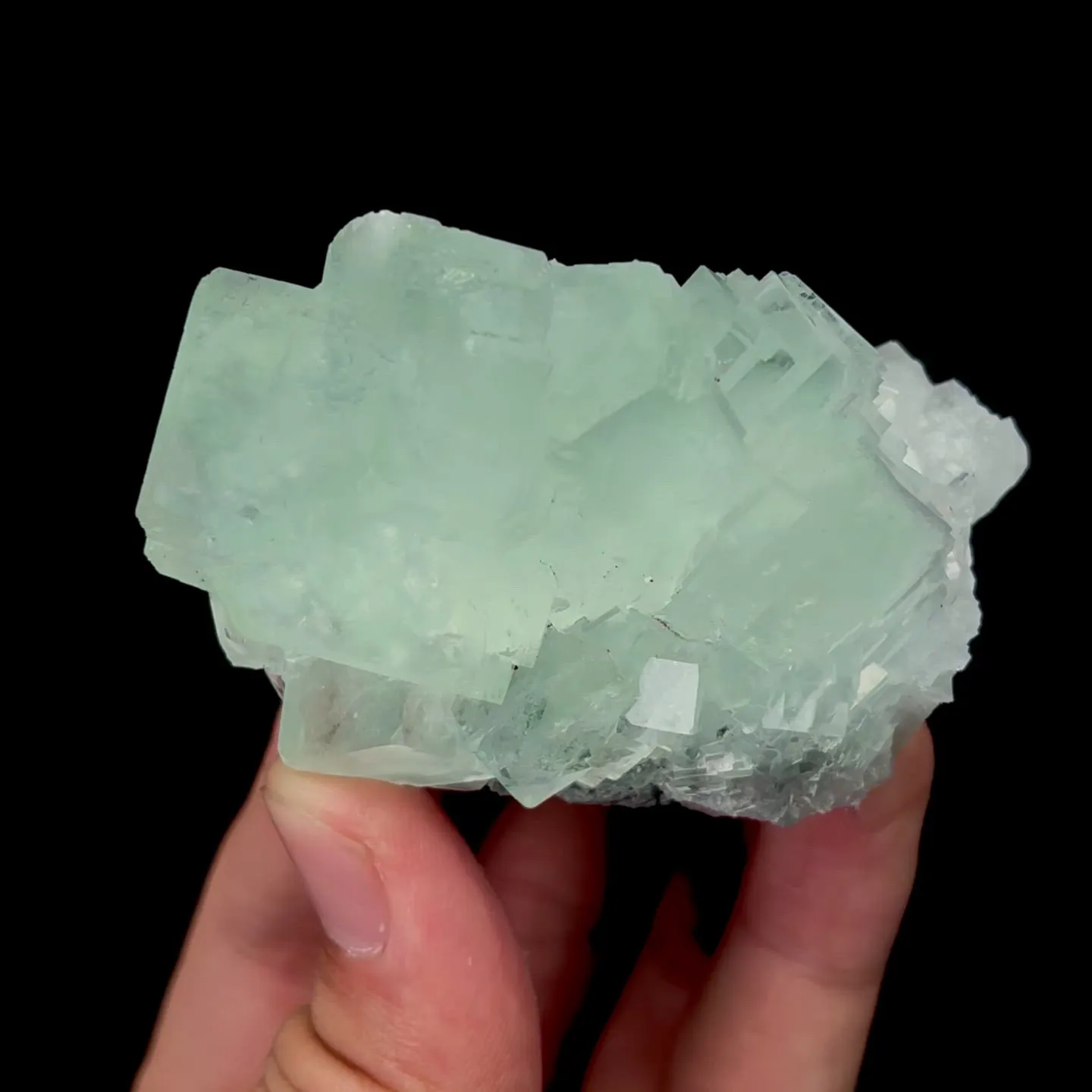 specimen video