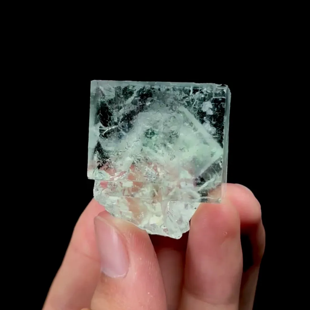 specimen video