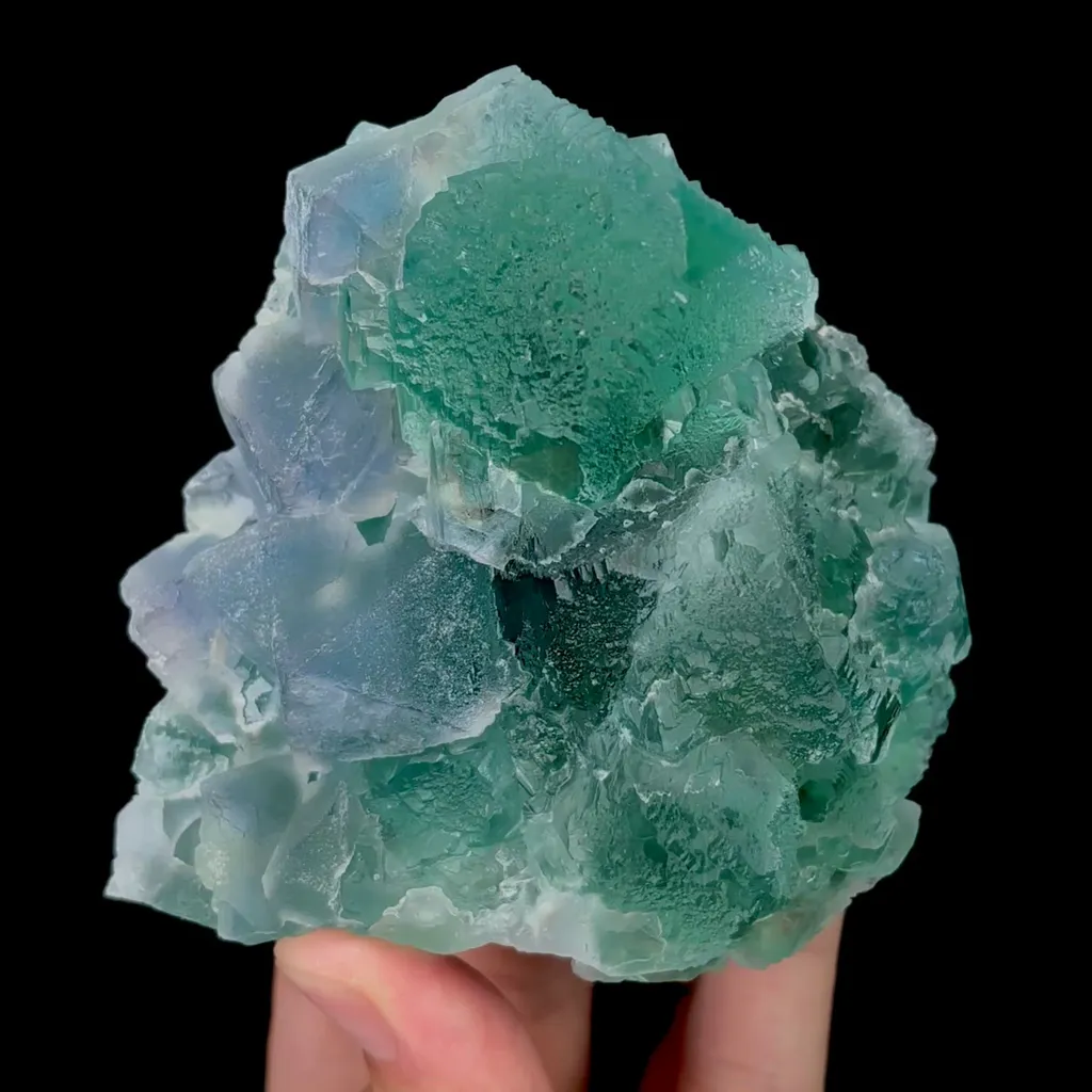 specimen video