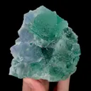 specimen video