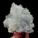 specimen video