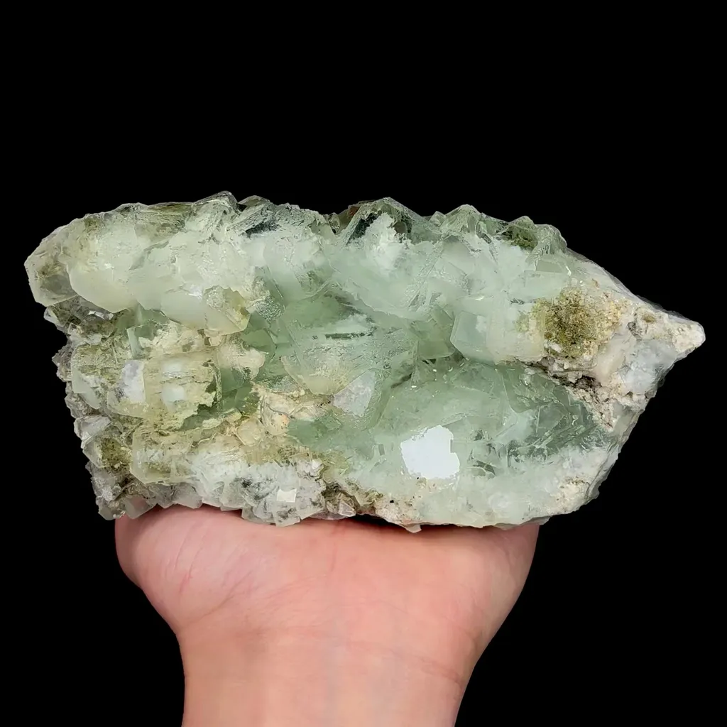 specimen video