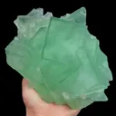 specimen video
