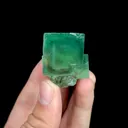 specimen video