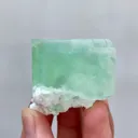 specimen video