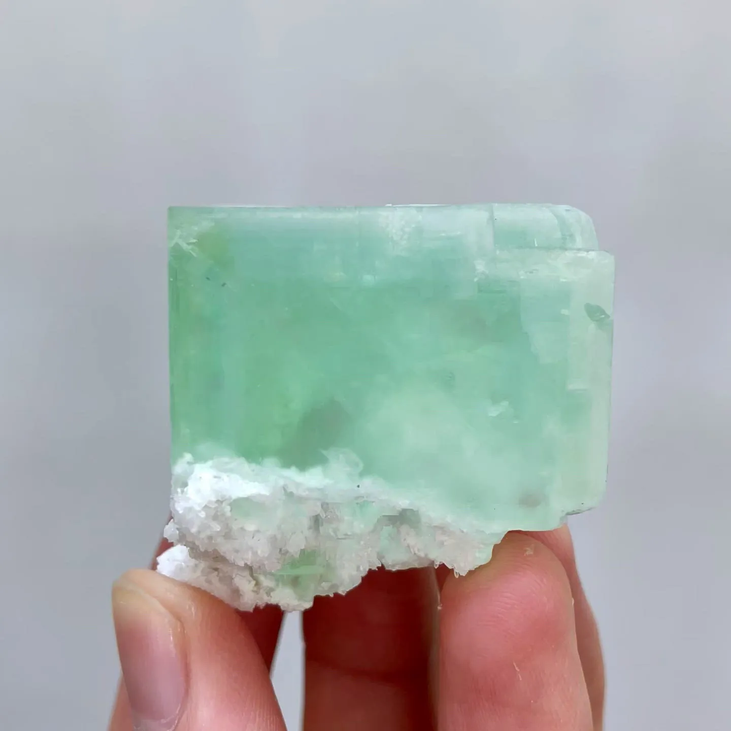 specimen video