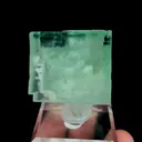 specimen video