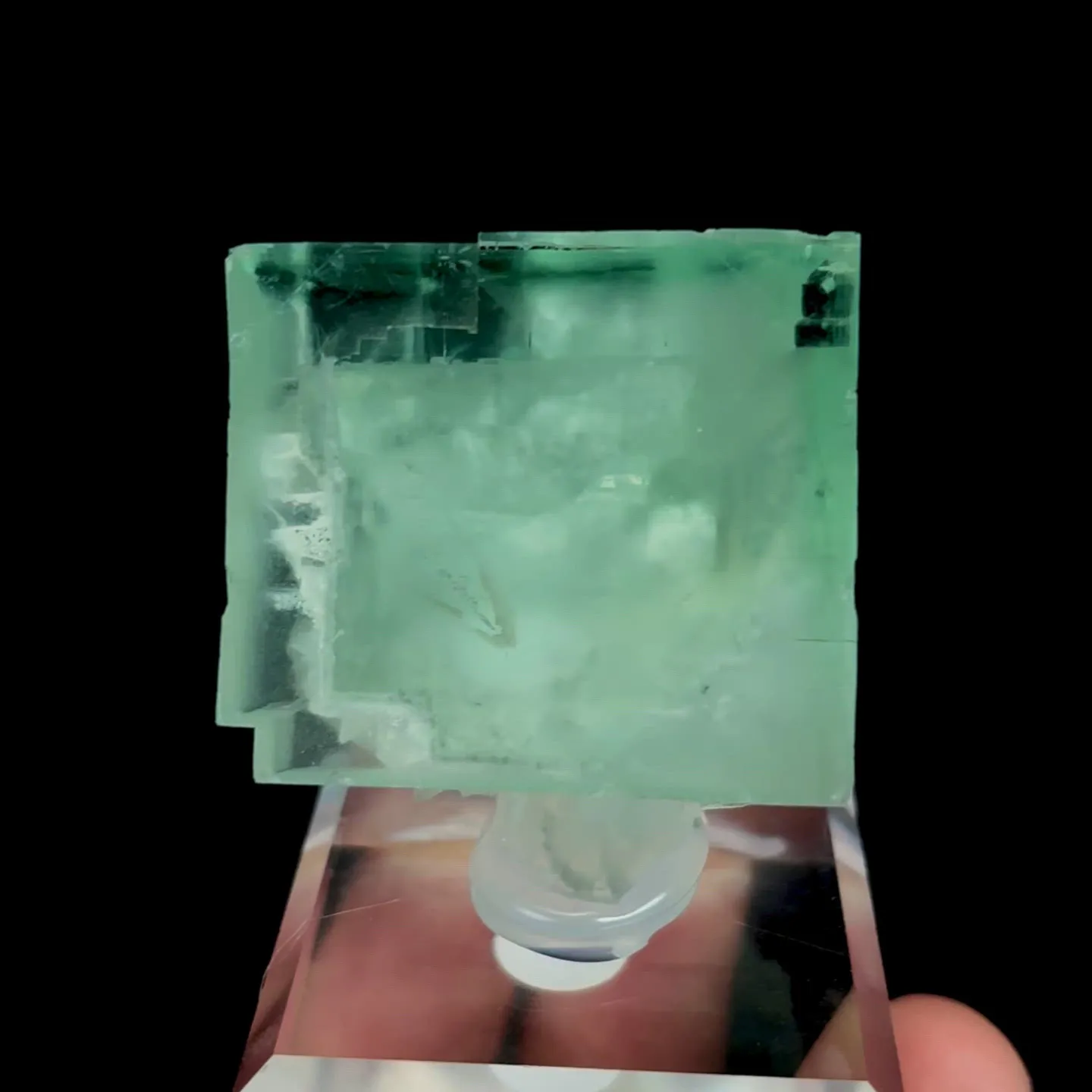 specimen video