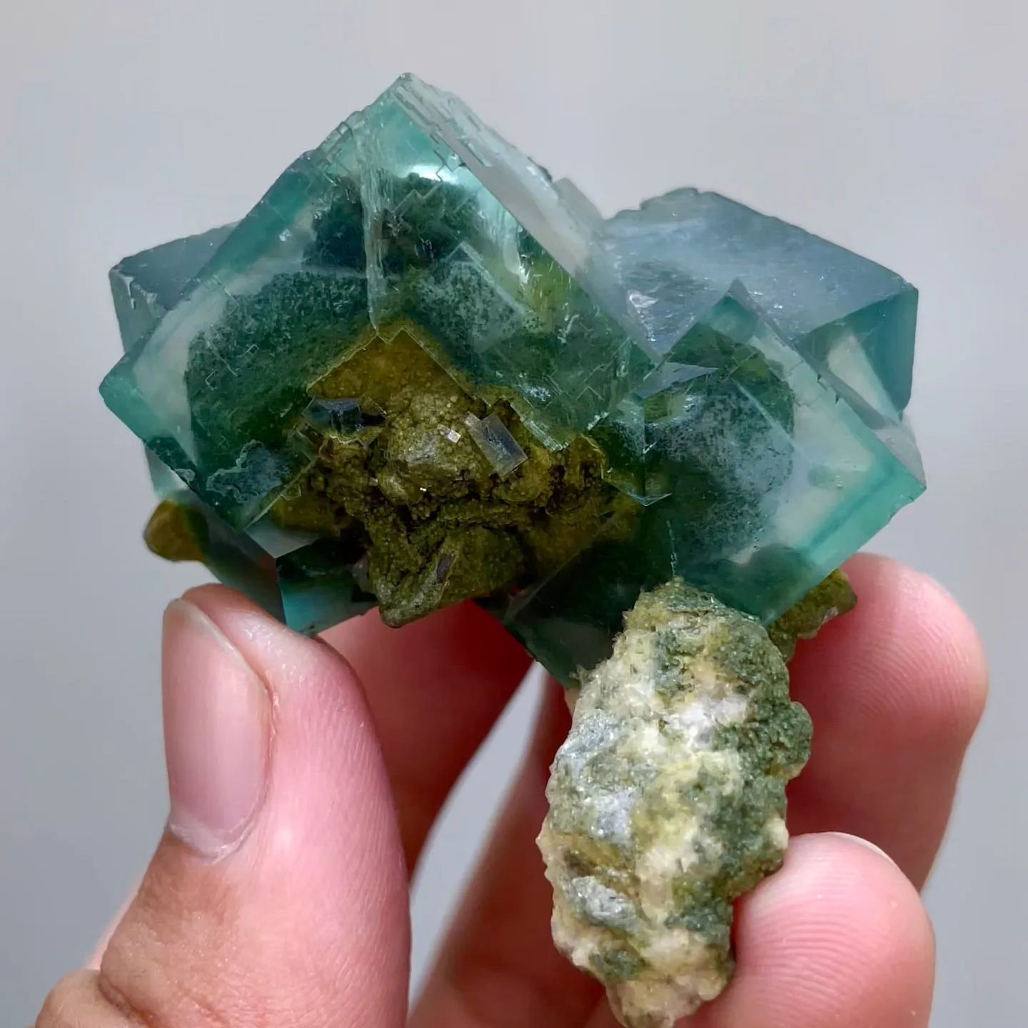 specimen video
