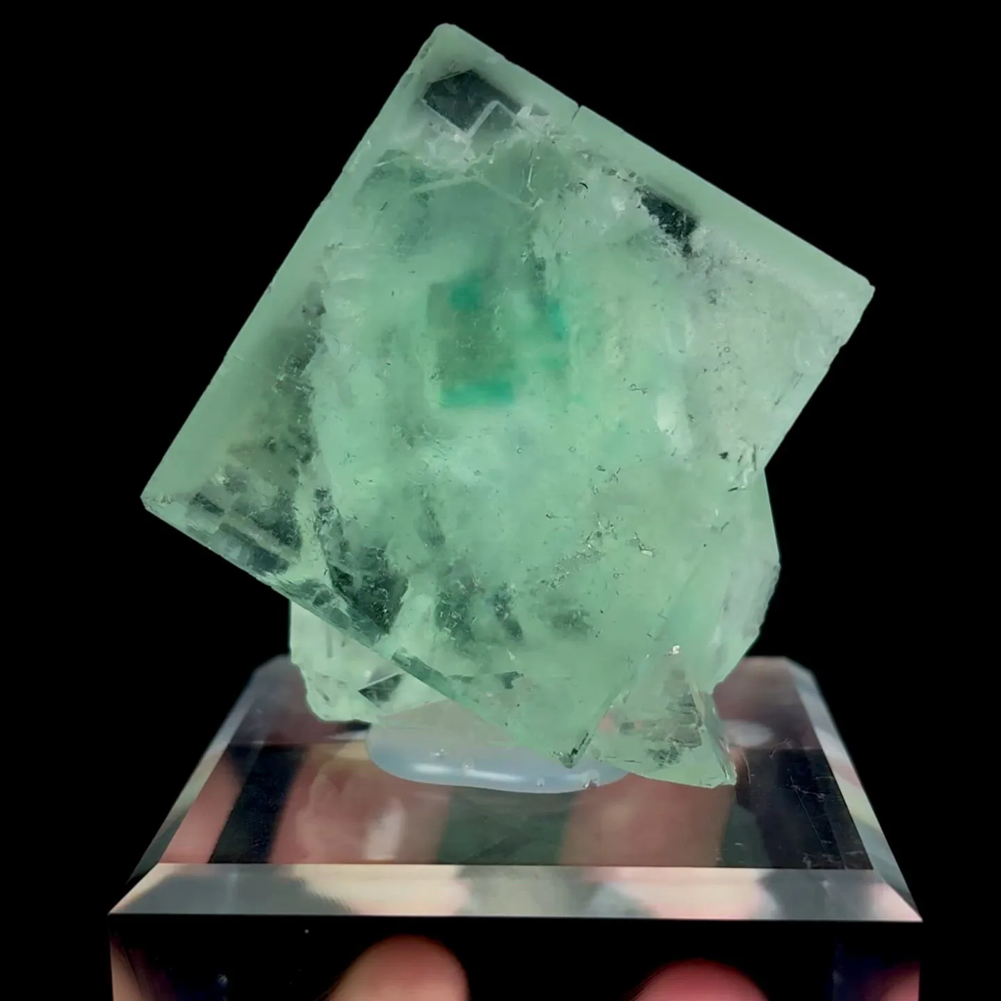 specimen video