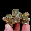 specimen video