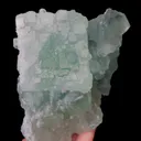 specimen video