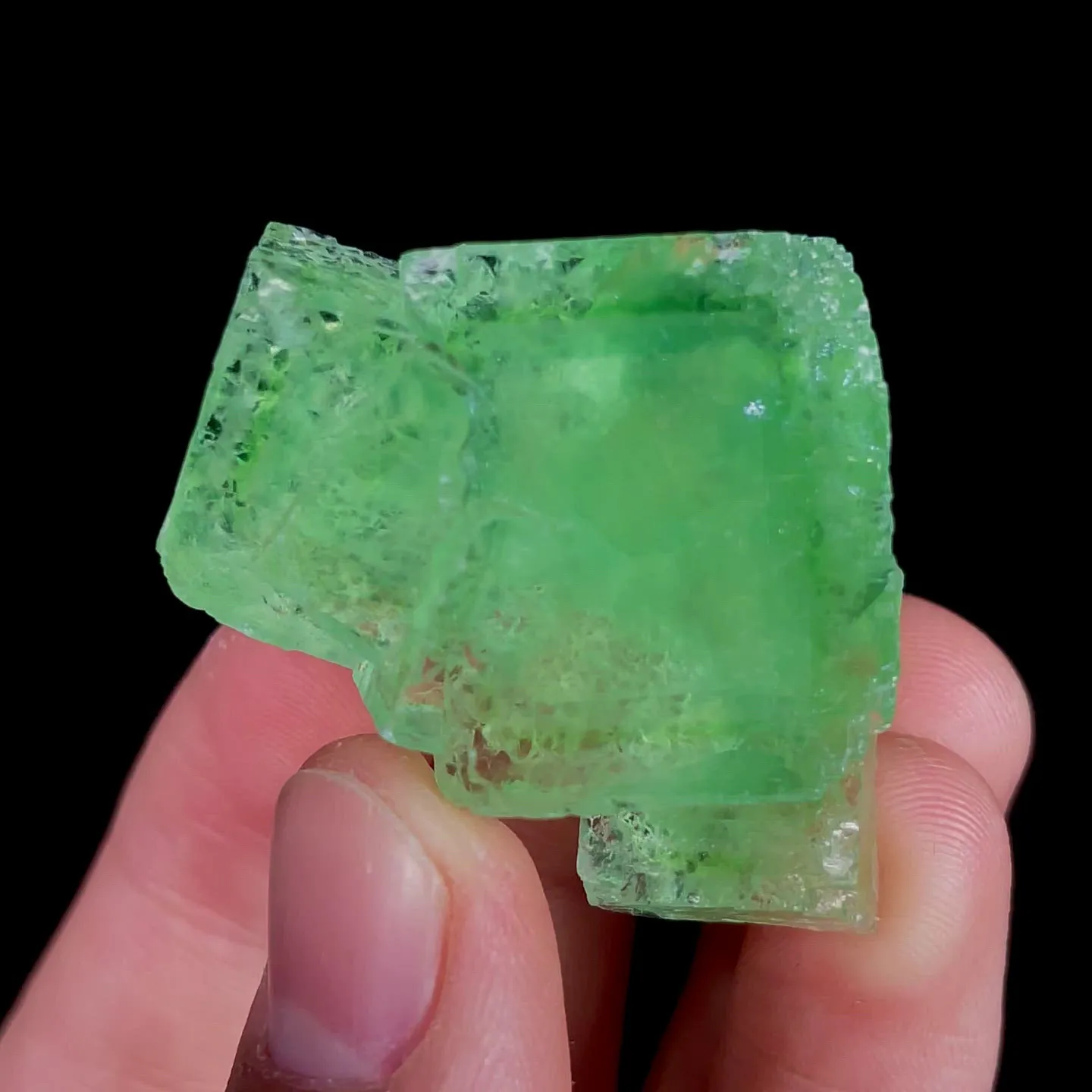 specimen video