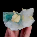 specimen video
