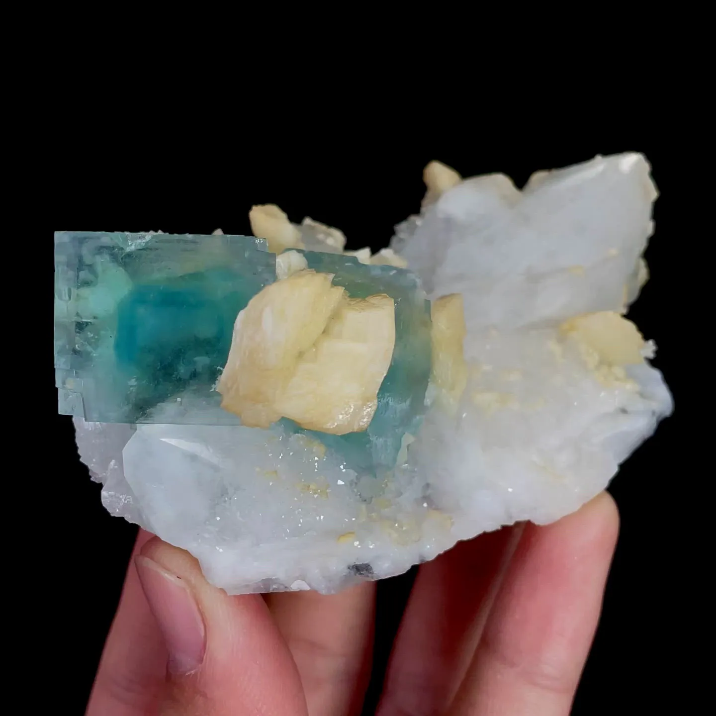 specimen video