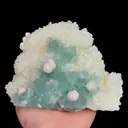 specimen video