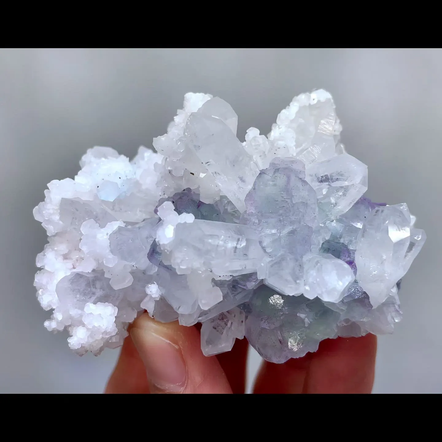 specimen video