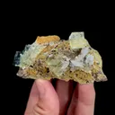 specimen video