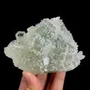 specimen video