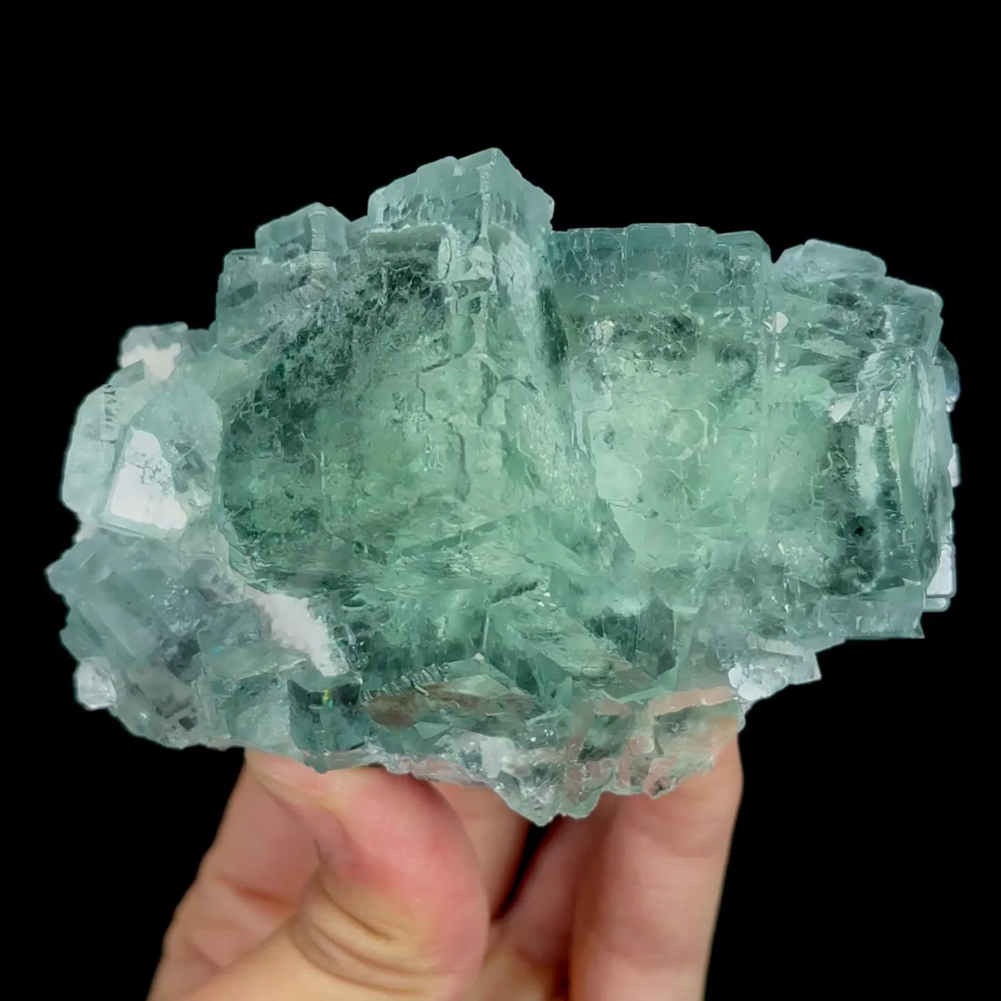 specimen video