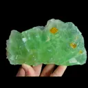 specimen video