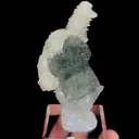 specimen video