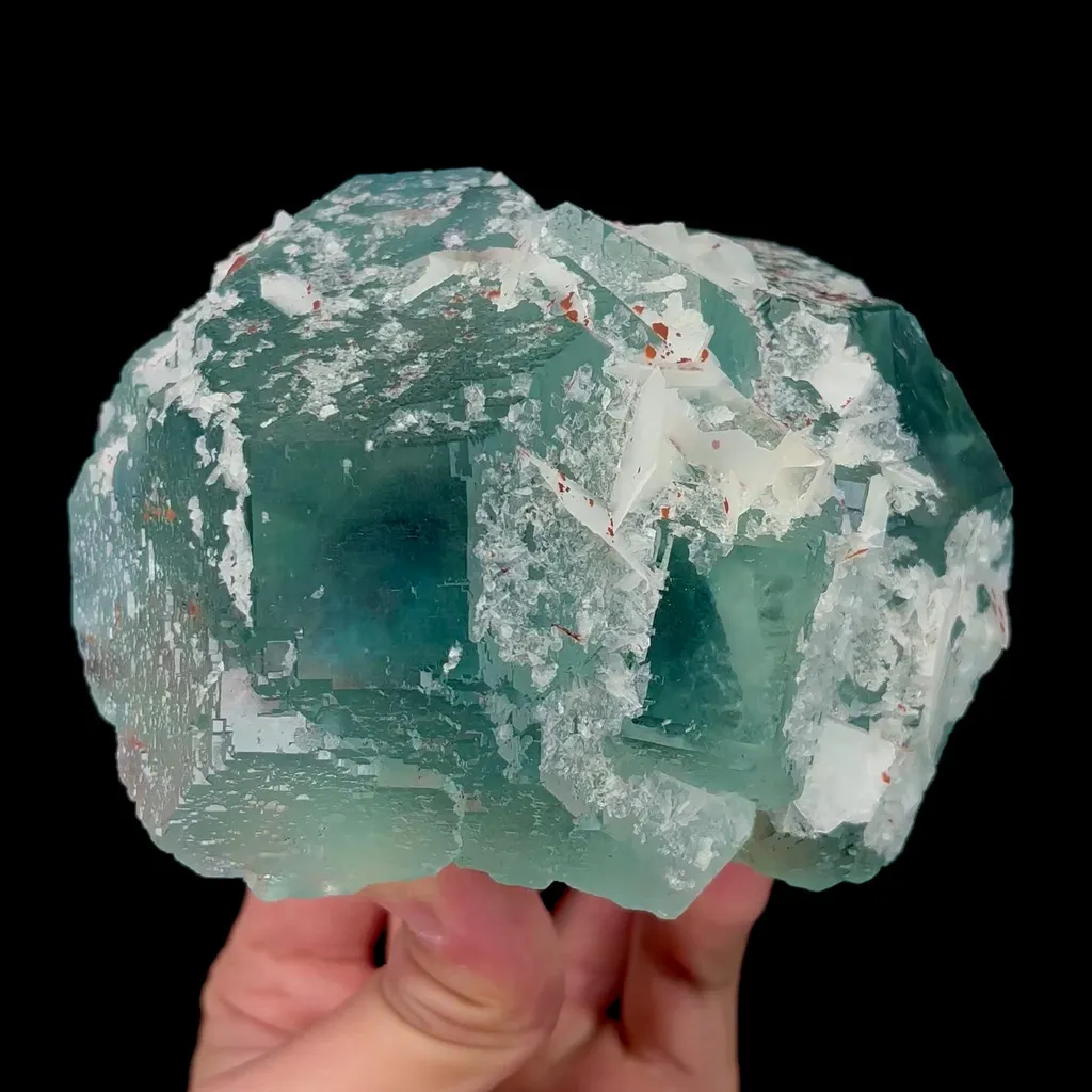 specimen video