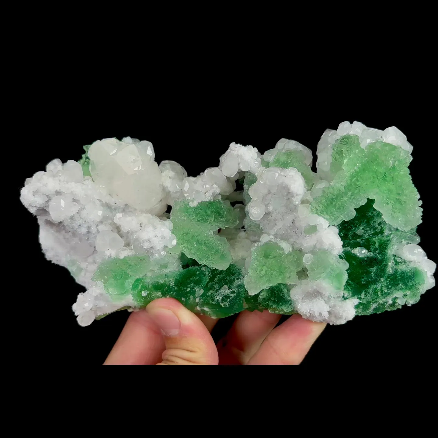 specimen video