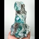 specimen video