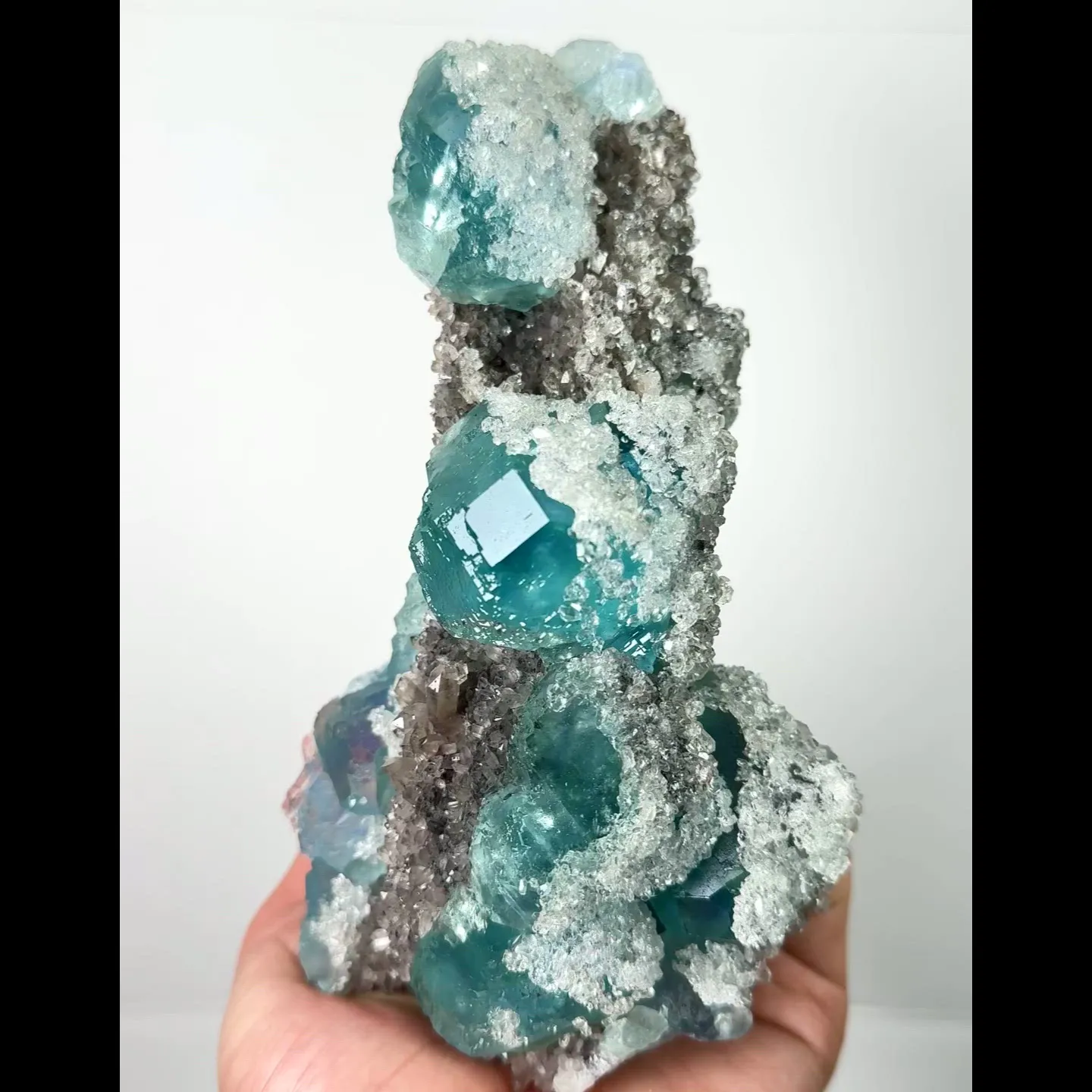 specimen video