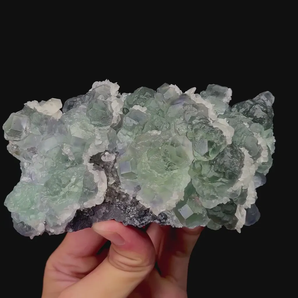 specimen video