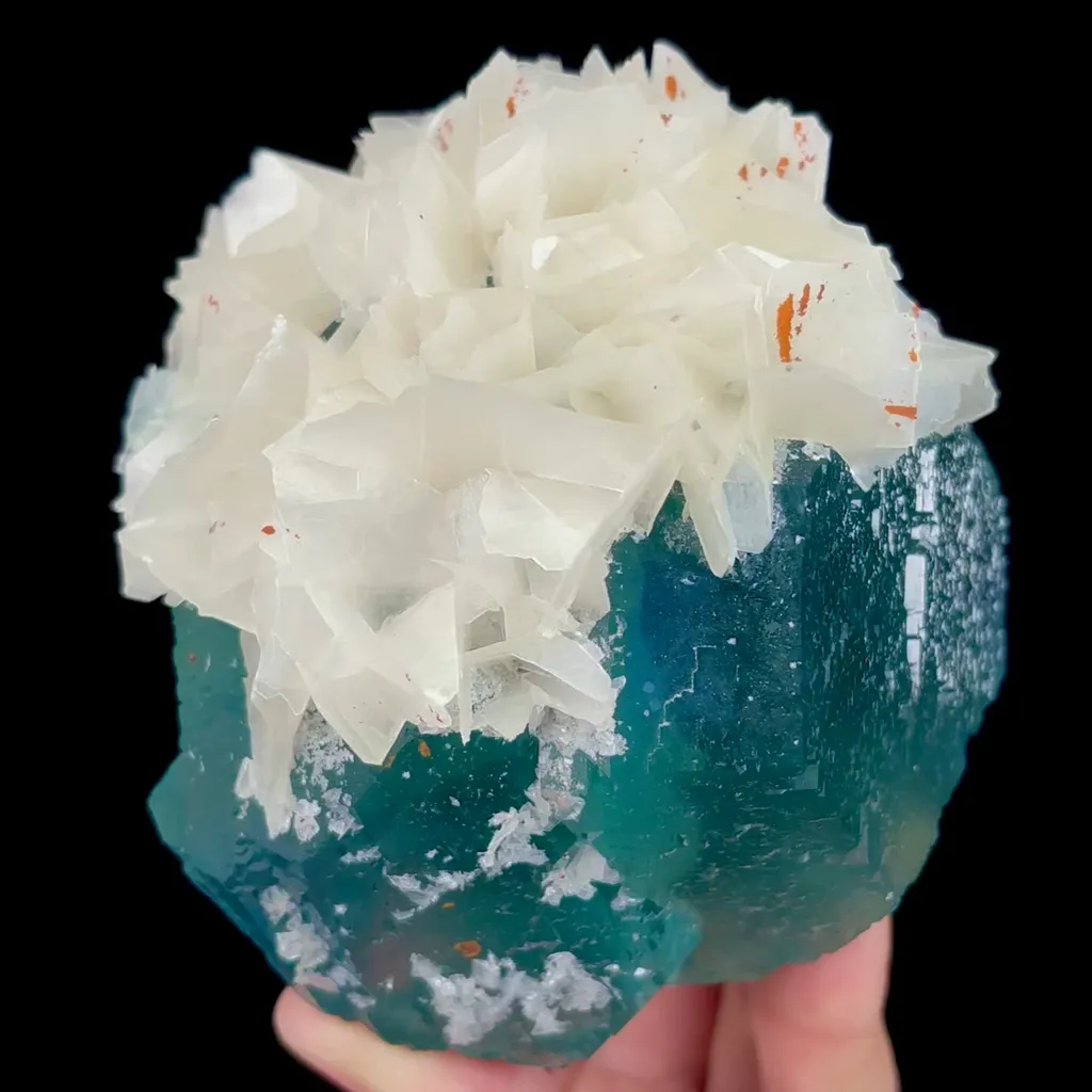 specimen video