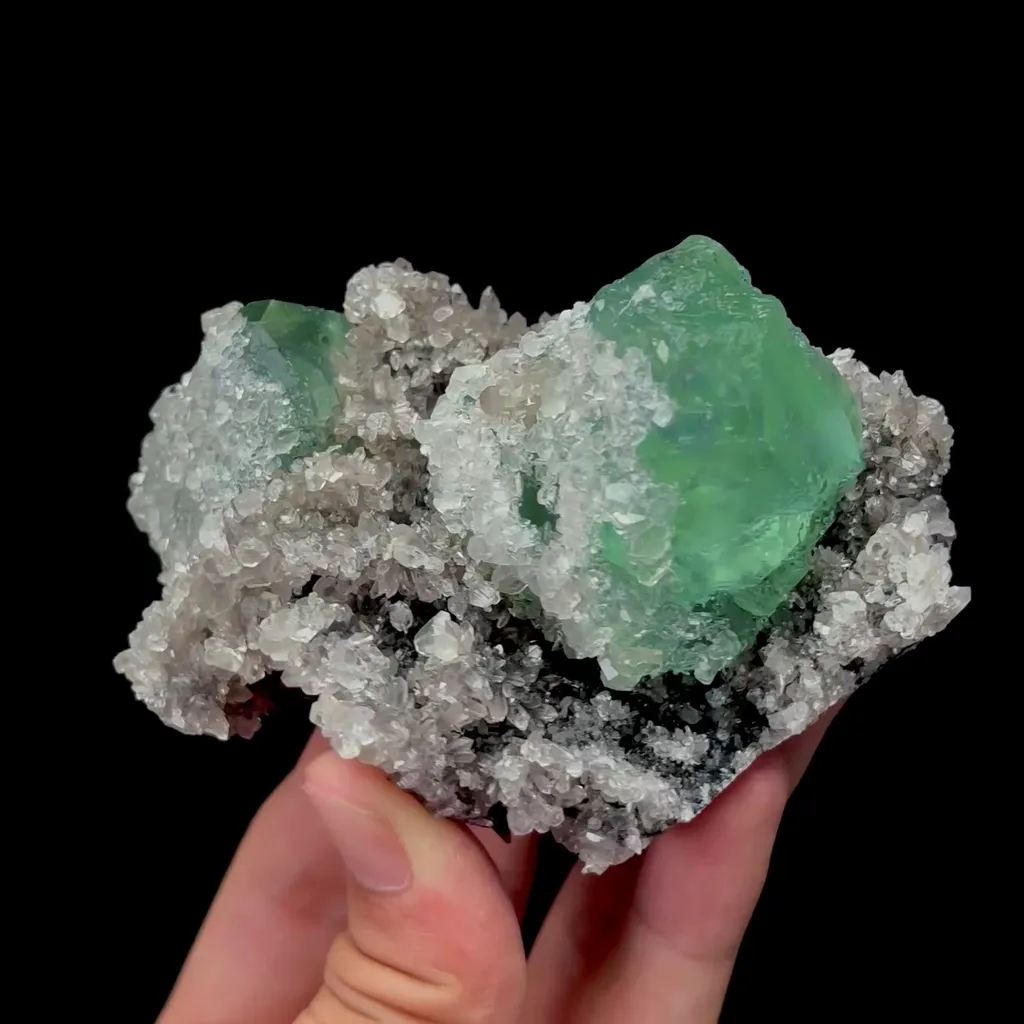 specimen video