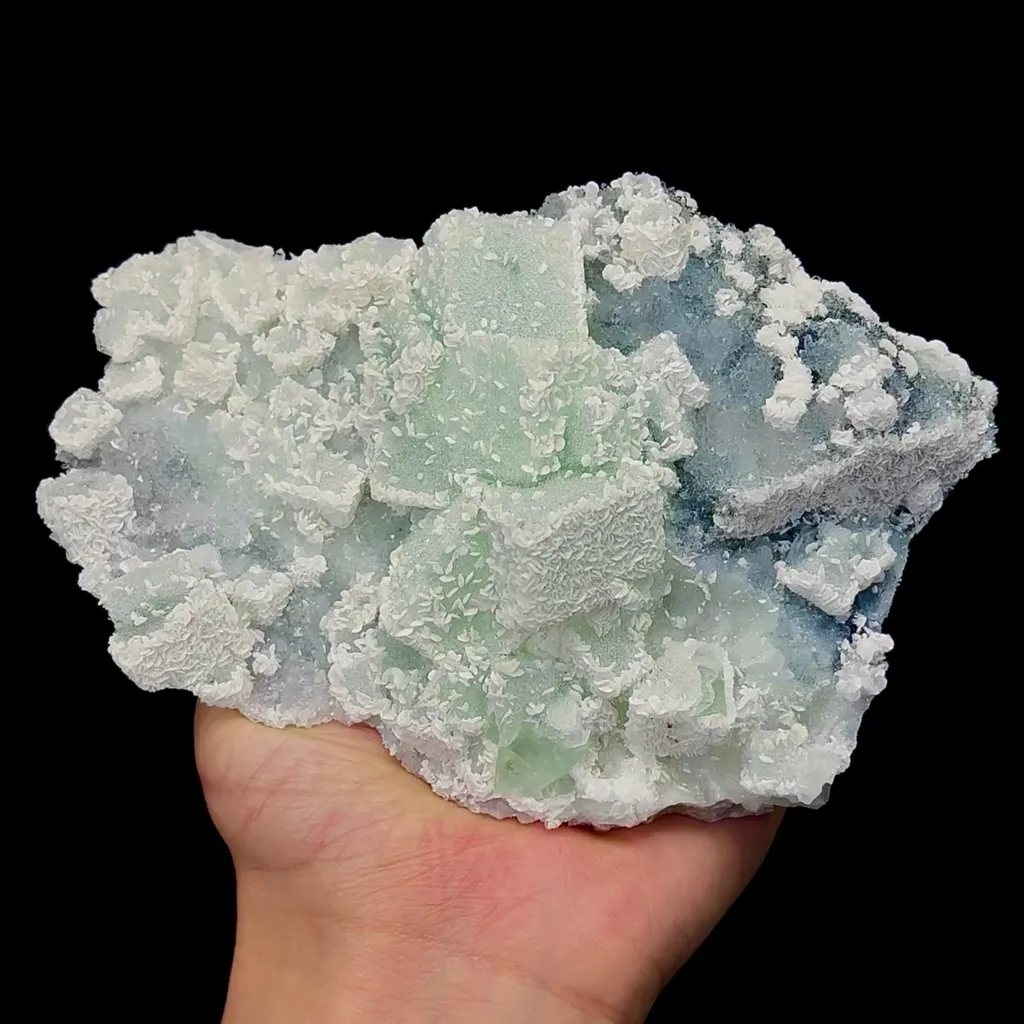 specimen video