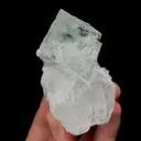 specimen video