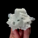 specimen video