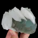 specimen video