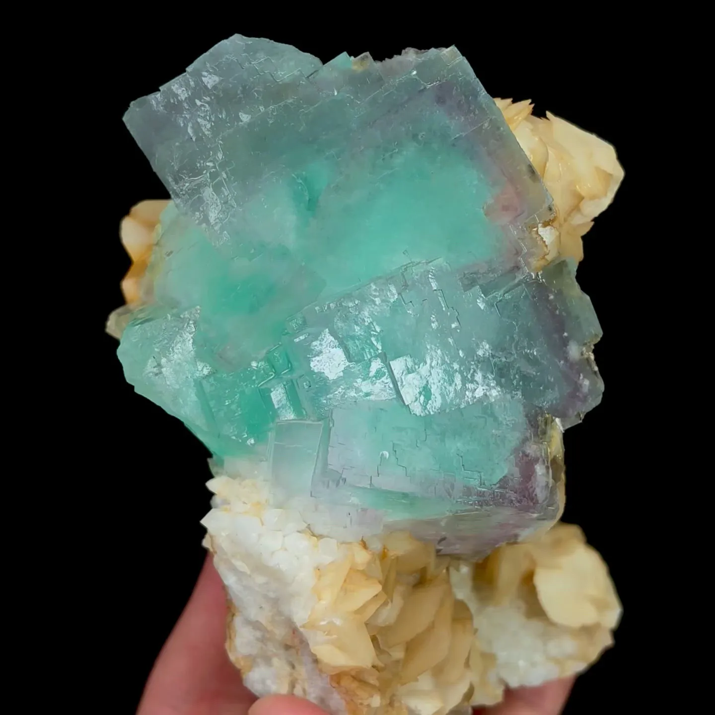 specimen video