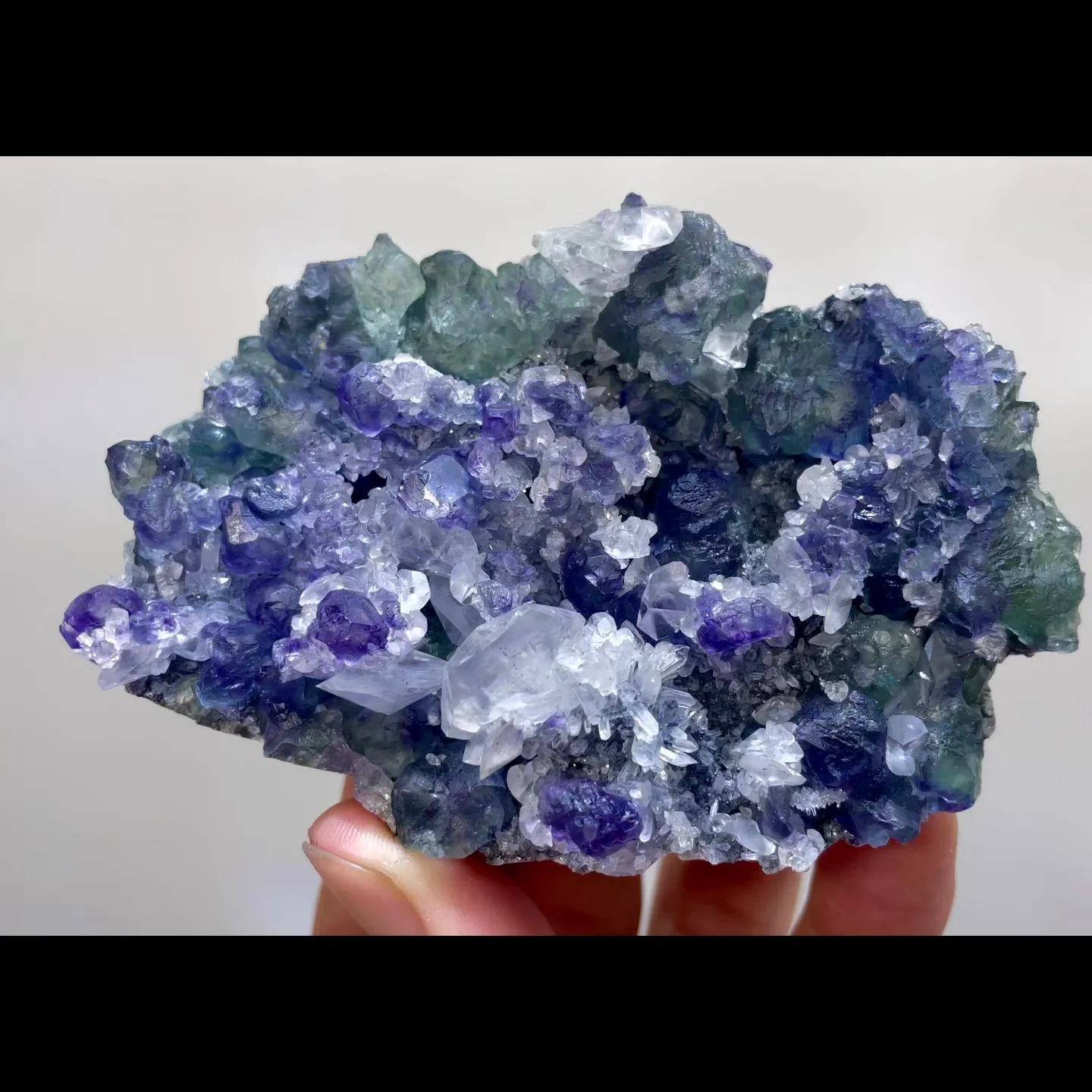 specimen video