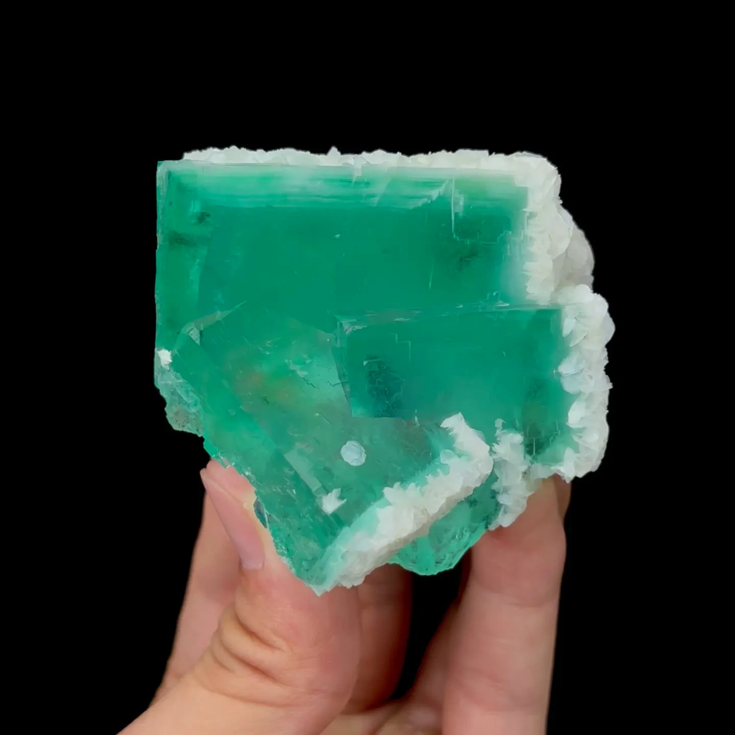 specimen video