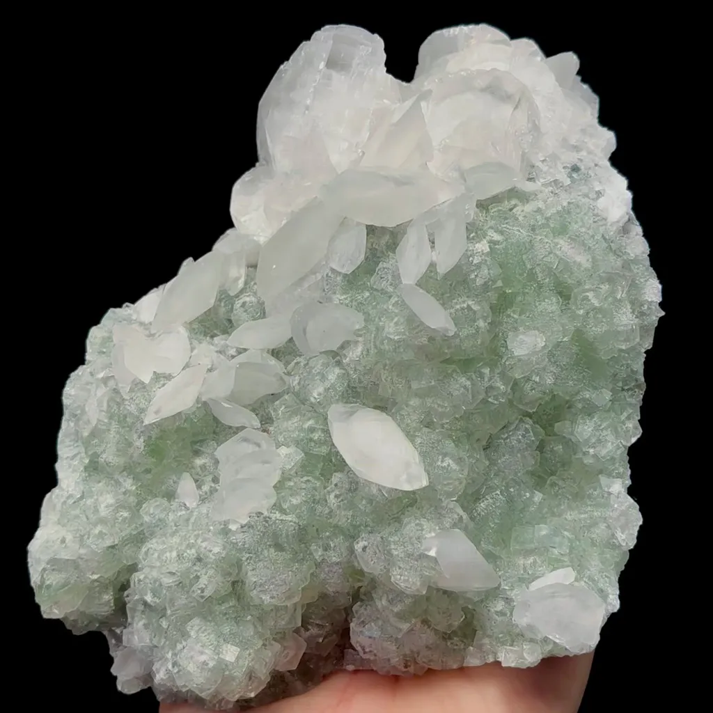 specimen video