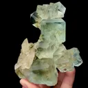 specimen video